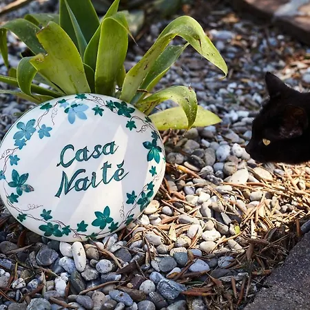 Casa Naite